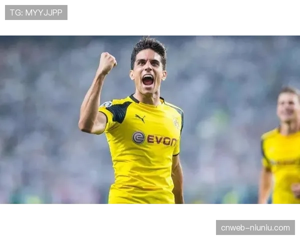 德甲联盟公布2025年财报，媒体版权收入再创新高